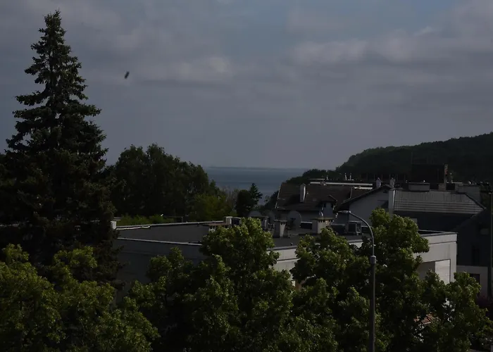 Stay With A View